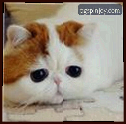 李锐